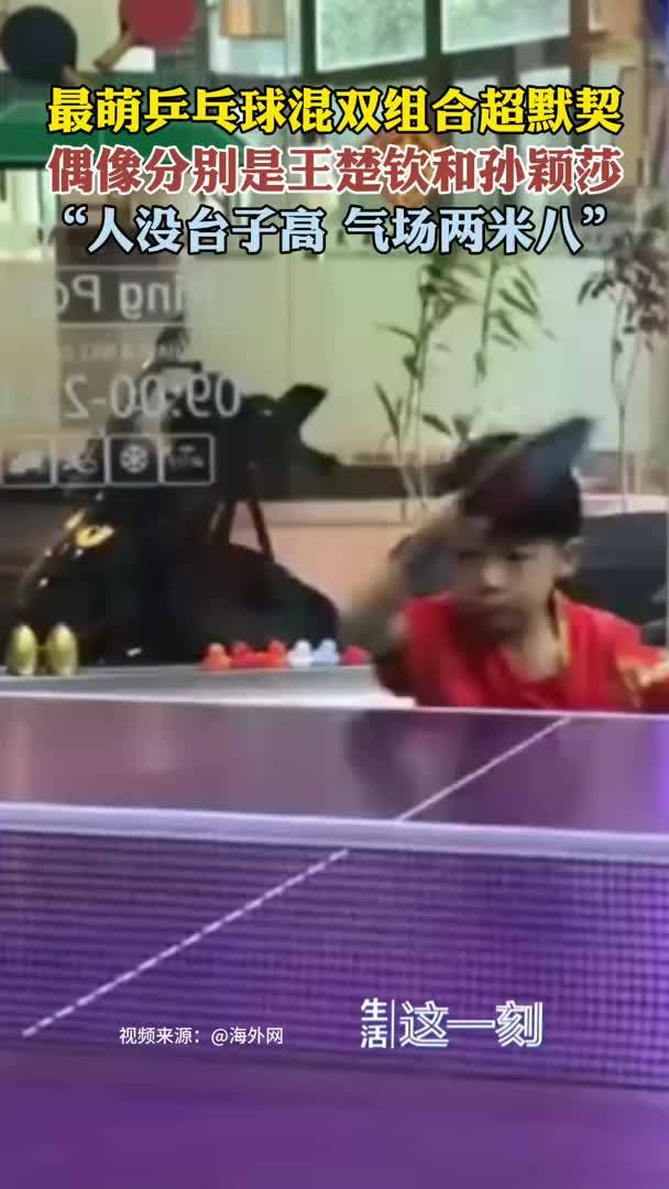 最萌乒乓球混双组合默契值拉满