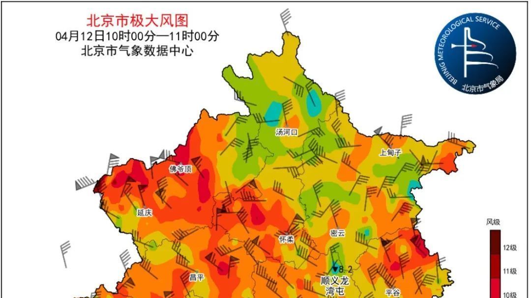 大风呼啸!树枝狂舞!进入北风最强时段,请加强防范 大风呼啸!树枝狂舞!进入北风最强时段,请加强防范