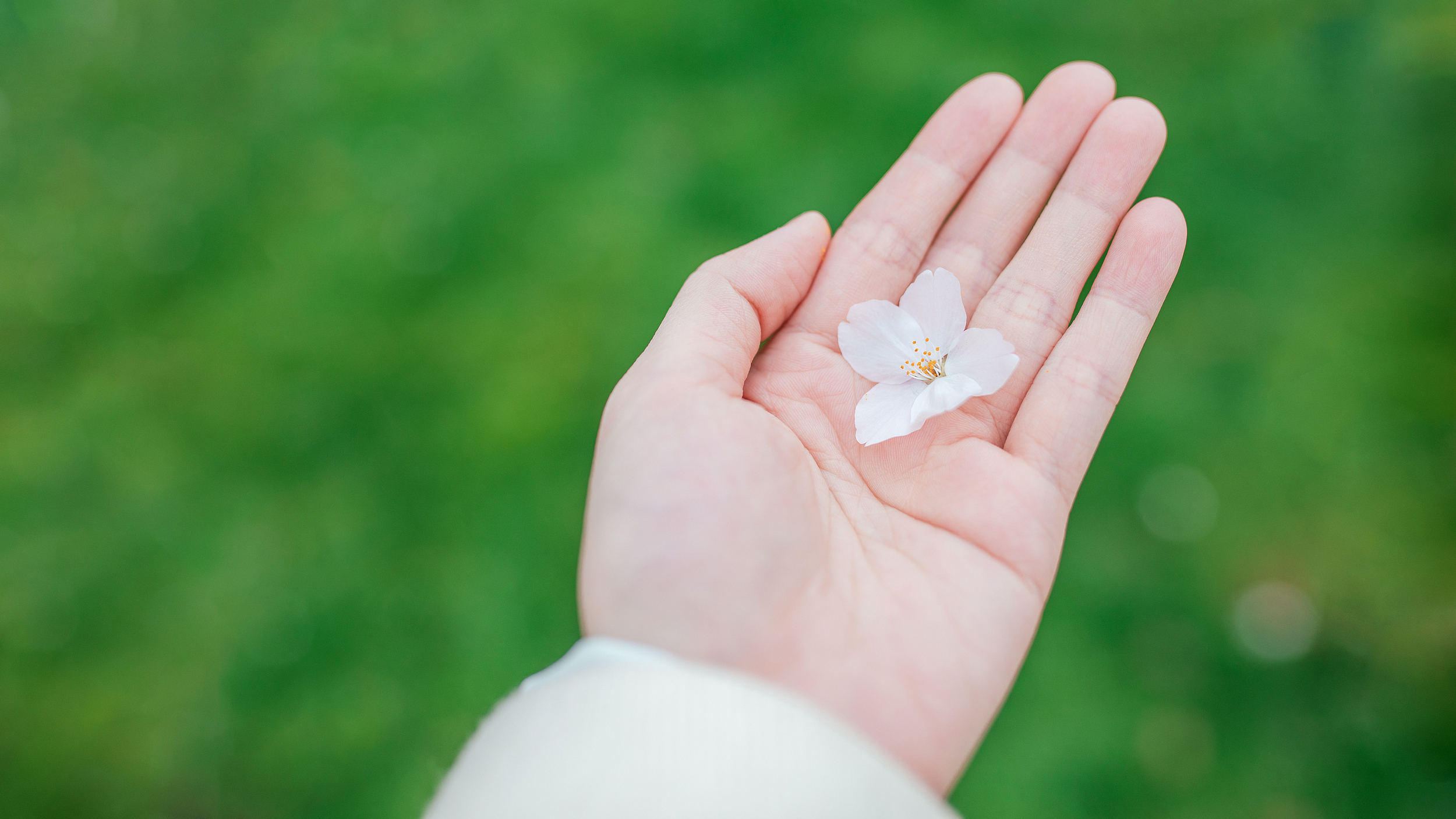 辟谣丨手掌发红就是“肝掌”,说明肝脏有问题? 辟谣丨手掌发红就是“肝掌”,说明肝脏有问题?