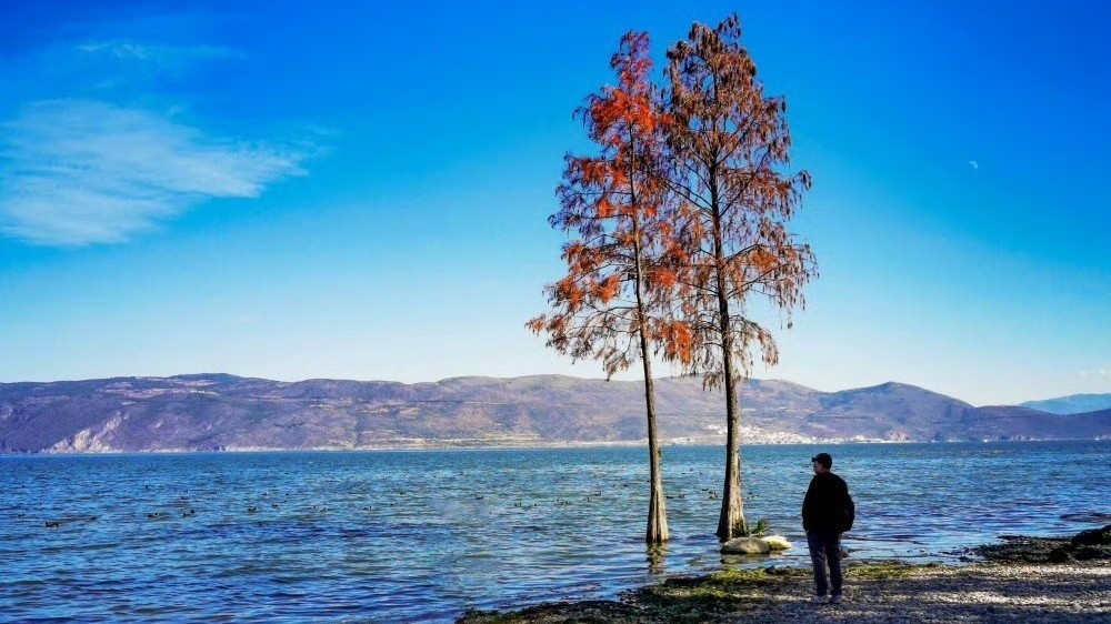 天晴气爽 今天最高气温5℃ 适宜户外活动 天晴气爽 今天最高气温5℃ 适宜户外活动