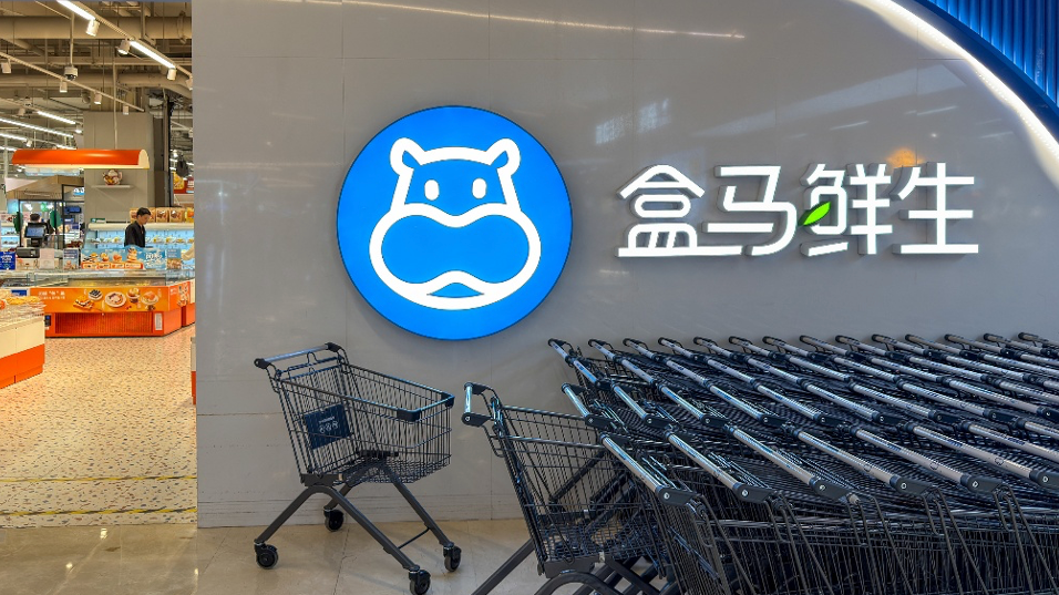 盒马误配送有毒水仙，仅被罚198元？已10倍货值顶格处罚，不影响民事赔偿
