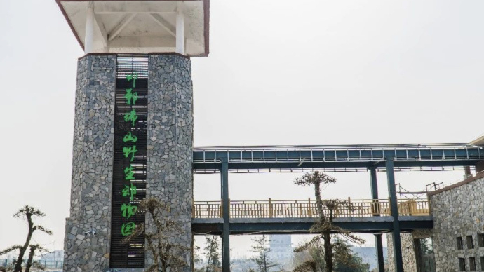 河北一动物园，上演现实版“熊出没”？