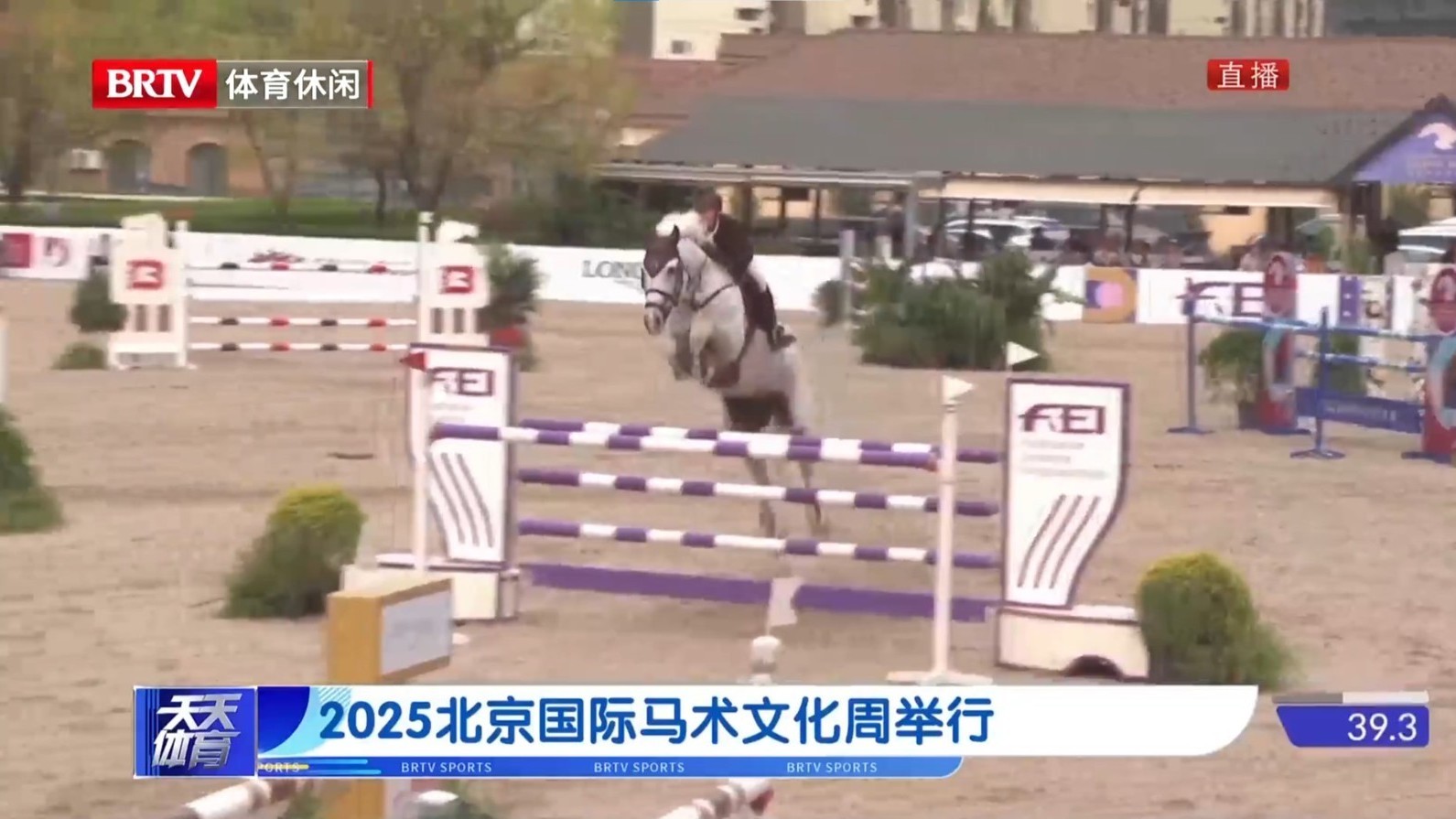 2025北京国际马术文化周举行 2025北京国际马术文化周举行