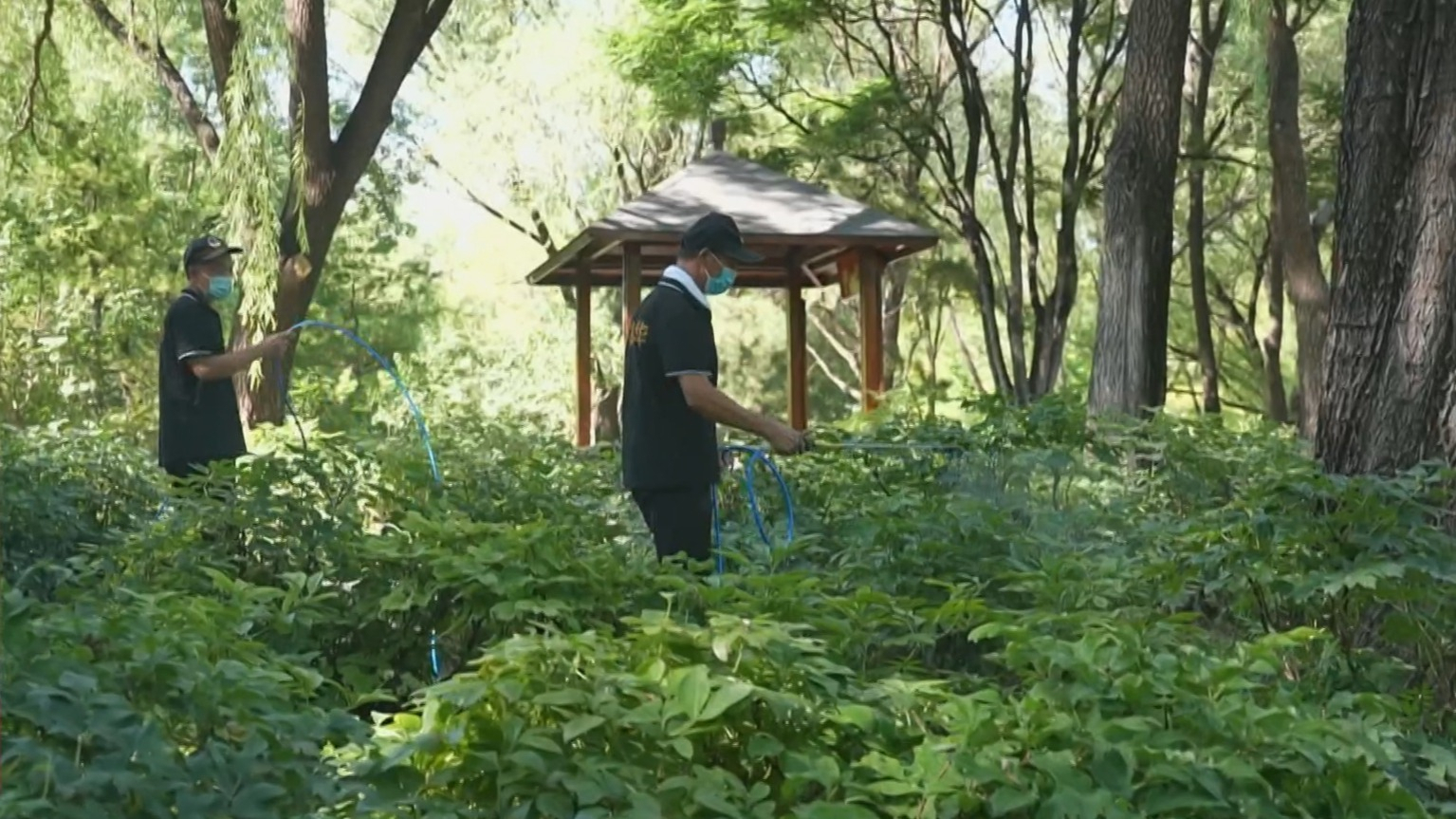 本市多部门联动开展灭蚊蝇行动 本市多部门联动开展灭蚊蝇行动