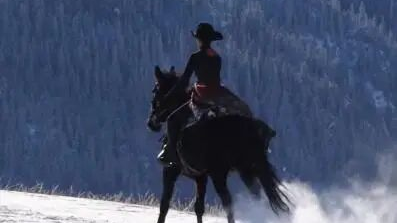 李玉刚发文悼念贺娇龙：再见，素未谋面的老朋友