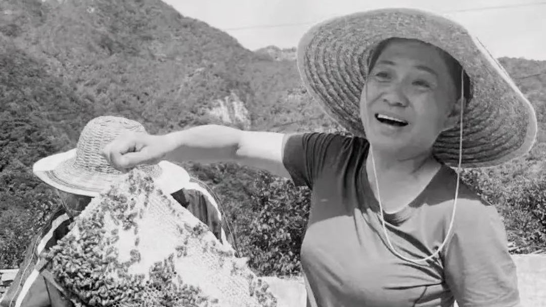 洪流中的生命灯塔 ——追忆尹春燕、蔡永章夫妇 洪流中的生命灯塔 ——追忆尹春燕、蔡永章夫妇