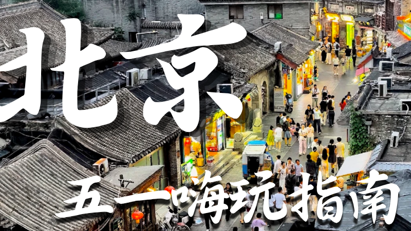五一特辑Day5｜胡同里的“慢生活”：用一杯咖啡治愈假期综合症