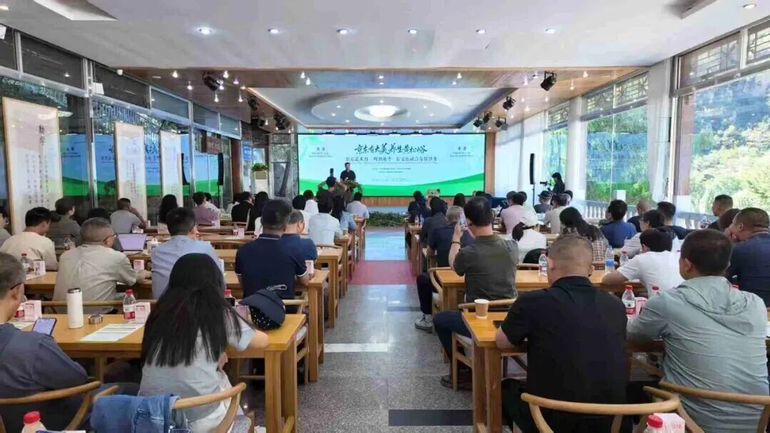 从“赏风景”到“酿产业”！平谷这个乡村，用啤酒花书写乡村振兴的答案