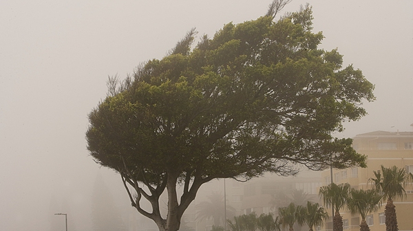 北京市发布大风黄色预警 北京市发布大风黄色预警