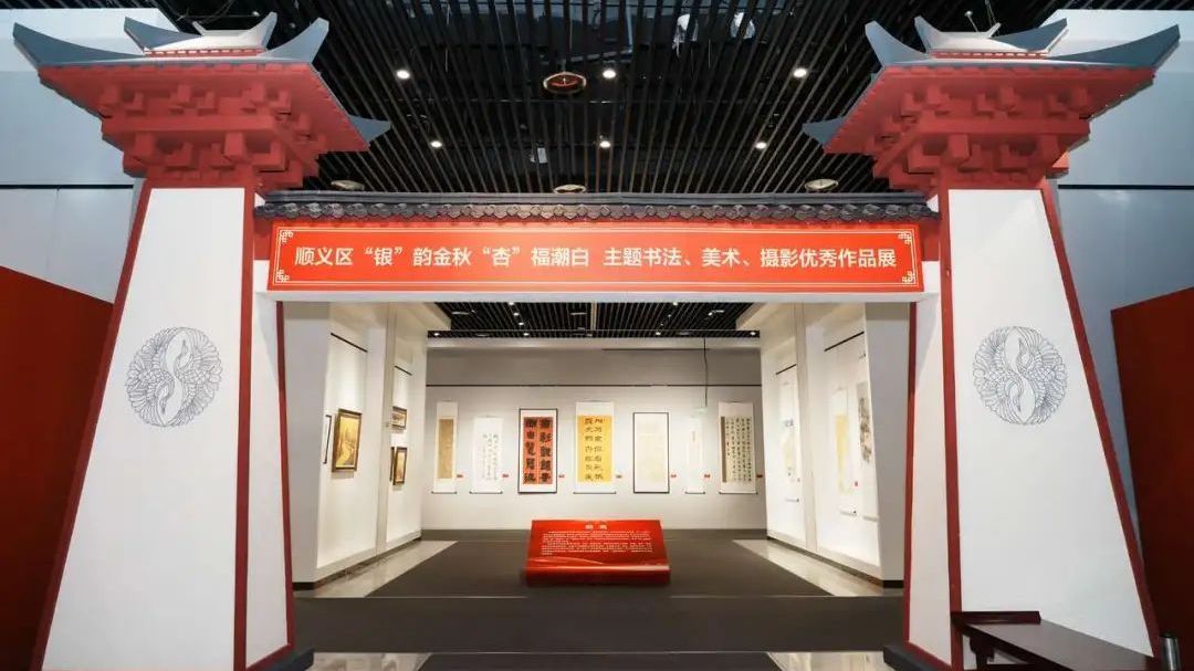 共赏银杏之美，顺义首届银杏主题作品展等您来打卡～