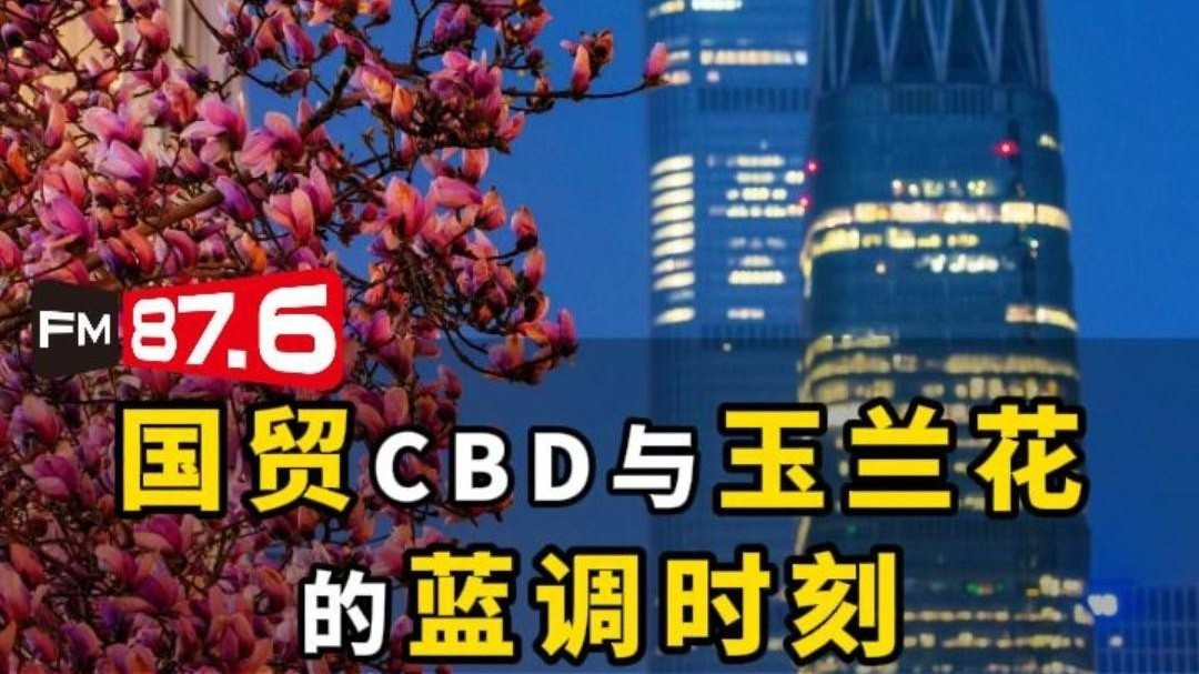 当北京国贸CBD与玉兰花同框