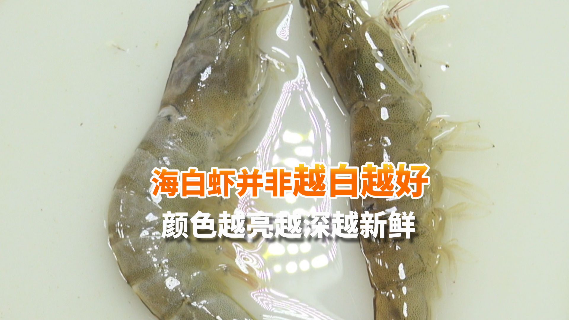 别被它的名字骗了！海白虾并非越“白”越好 颜色越亮越深越新鲜
