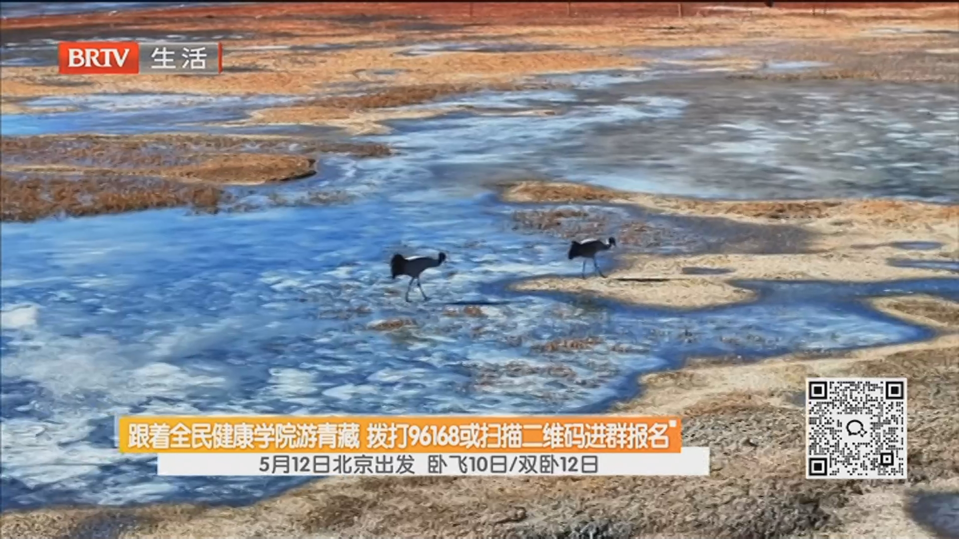 跟着全民健康学院游青藏 拨打96168或扫描二维码进群报名 5月12日北京出发 卧飞10日/双卧12日