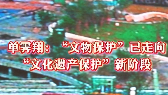 单霁翔：“文物保护”已走向“文化遗产保护”新阶段！