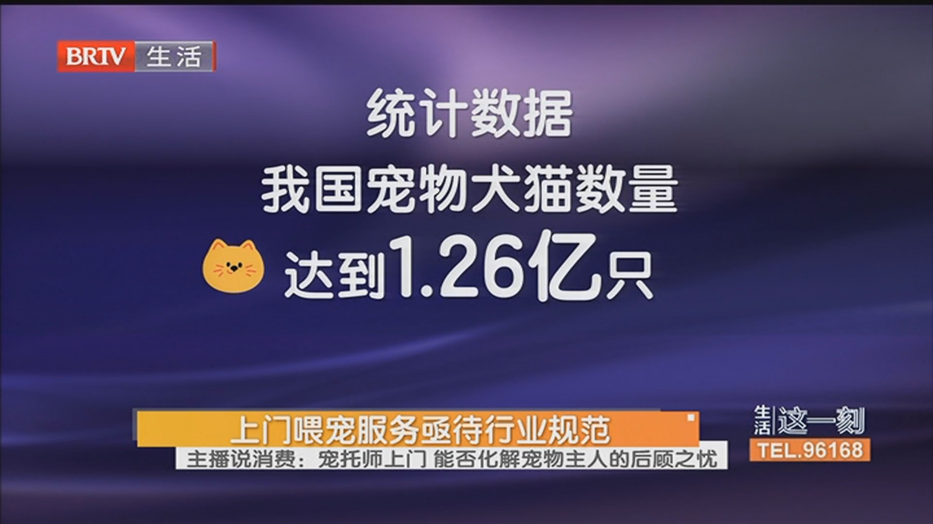 上门喂宠服务亟待行业规范 主播说消费:宠托师上门 能否化解宠物主人的后顾之忧 上门喂宠服务亟待行业规范 主播说消费:宠托师上门 能否化解宠物主人的后顾之忧