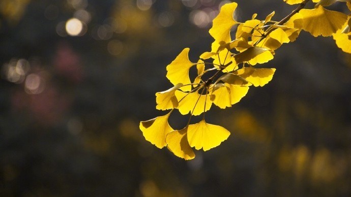 今天阴有小雨 阵风六级左右 山区或有降雪 今天阴有小雨 阵风六级左右 山区或有降雪