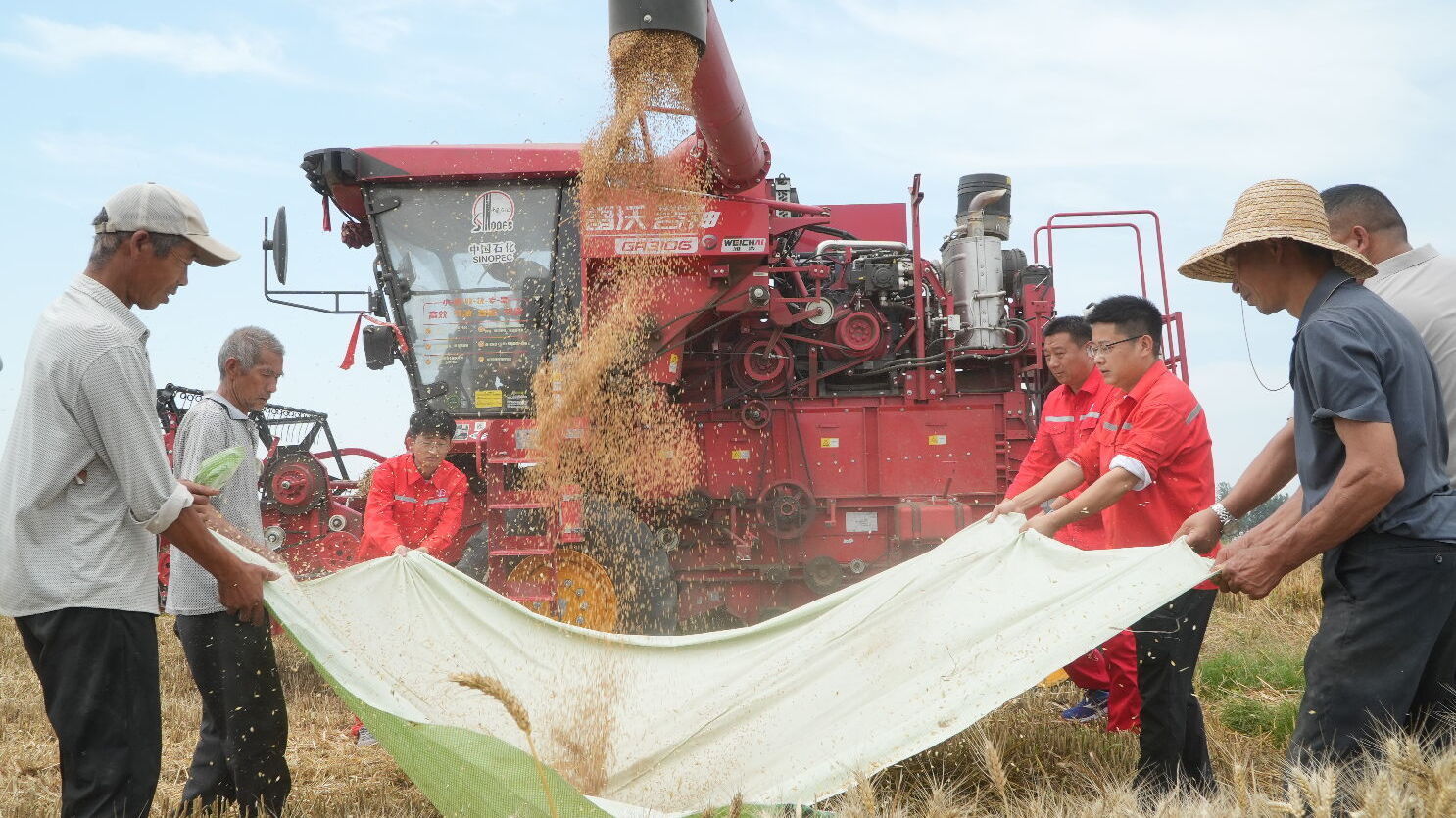 中国石化1.1万座加油站服务农机助力“三夏” 中国石化1.1万座加油站服务农机助力“三夏”