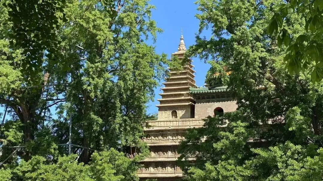 别跑空!北京多家博物馆 ,暑期开放时间变了 别跑空!北京多家博物馆 ,暑期开放时间变了