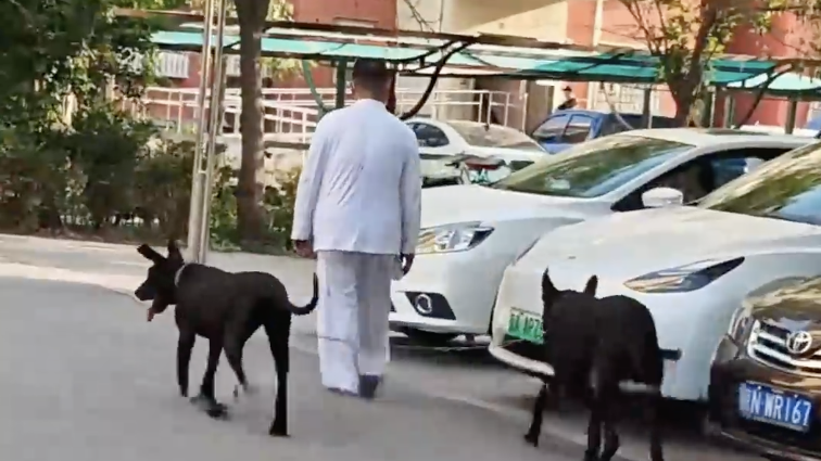 大爷小区内遛大型犬不拴绳，女子出言提醒却被“恐吓”