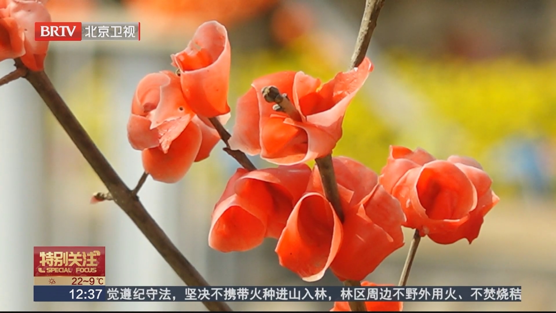 湖山花海度假线 解锁平谷春日休闲路线