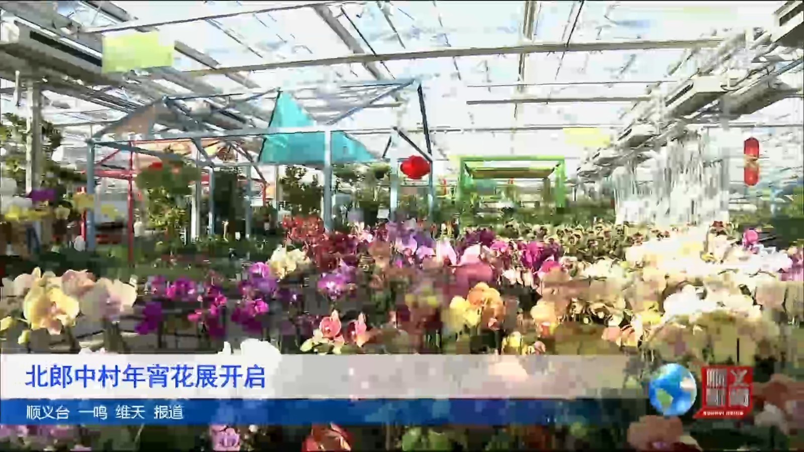 北郎中村年宵花展开启