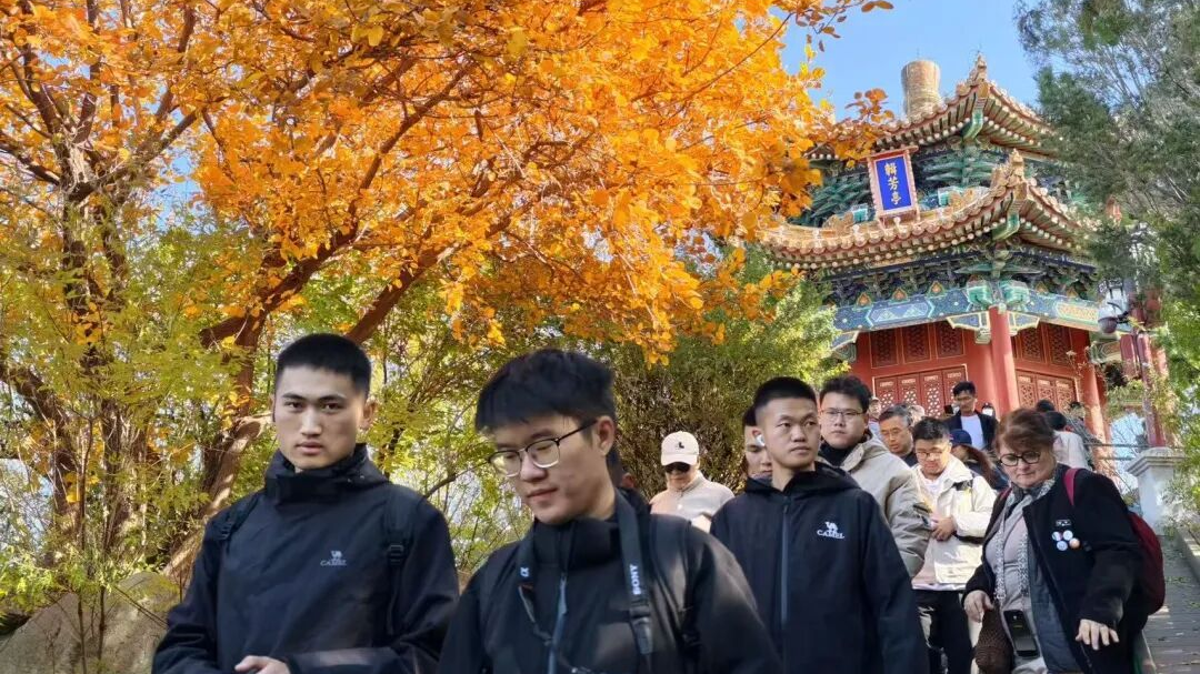 景山公园迎来彩叶最佳观赏期，推荐路线来了