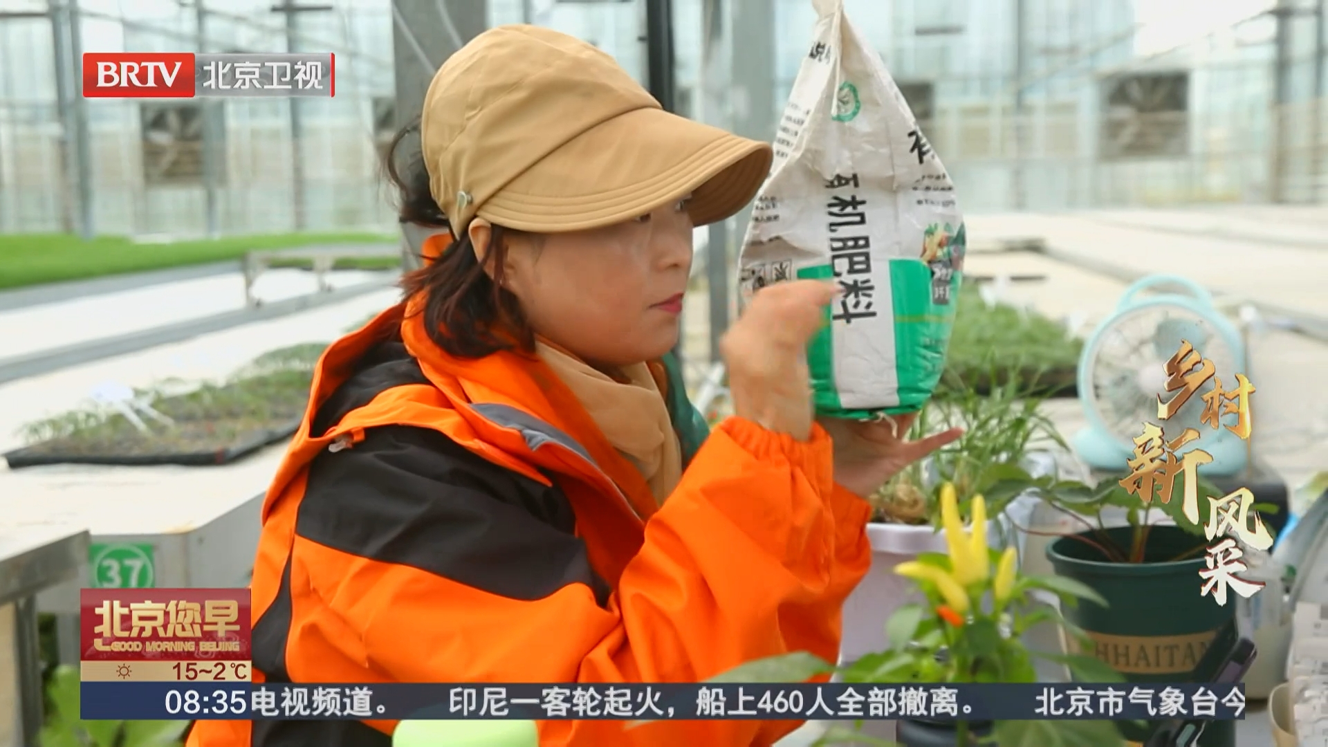 乡村新风采 智慧种苗工厂