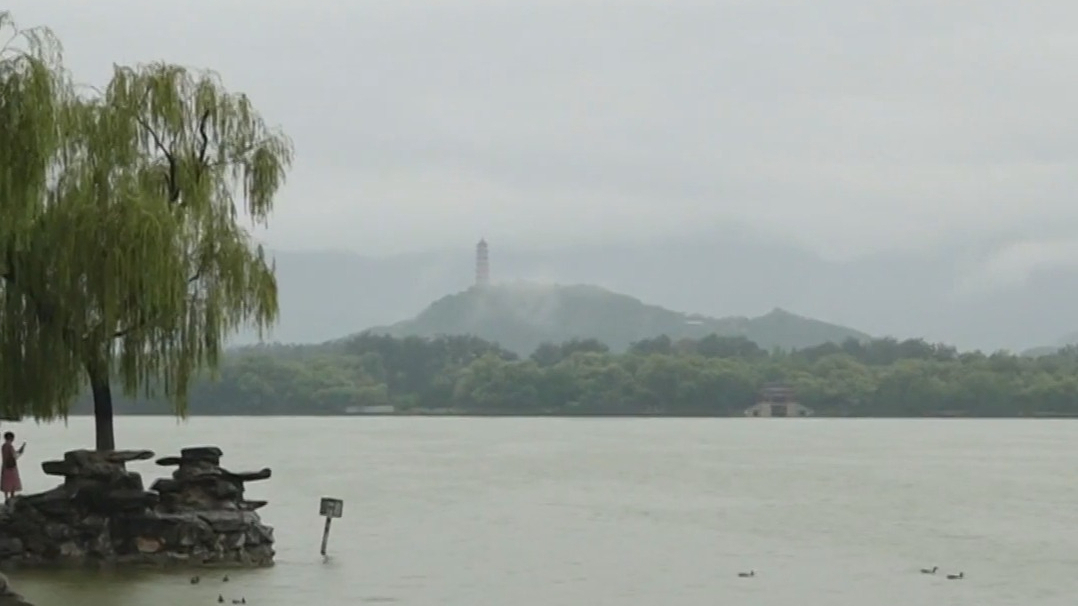 公园雨中正常开放 市民冒雨参观兴致不减