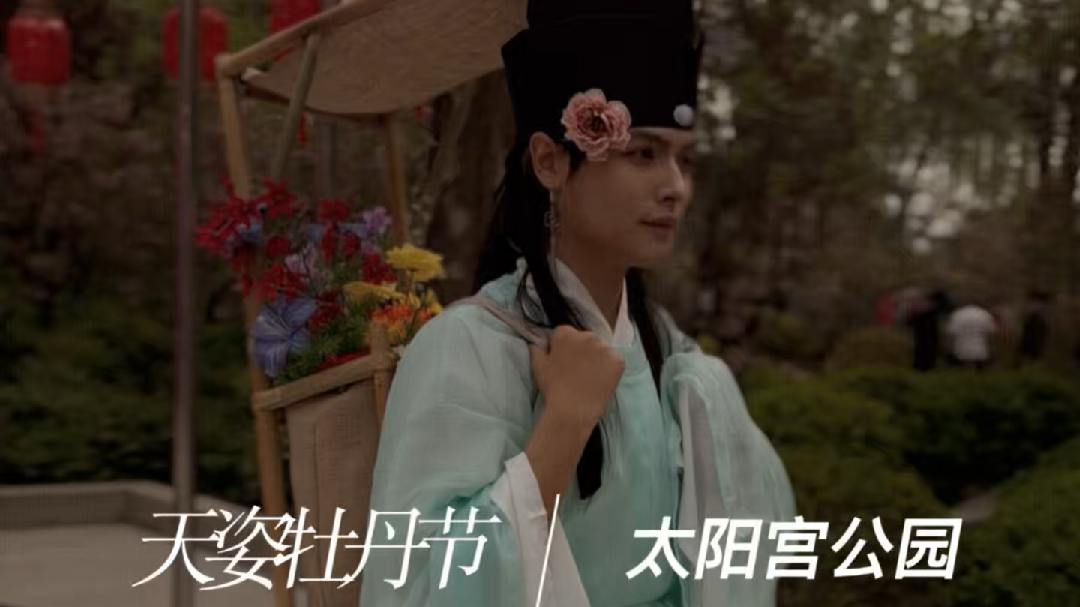 北京天姿牡丹园五万株牡丹盛放,来太阳宫公园打卡簪花郎古装巡游 北京天姿牡丹园五万株牡丹盛放,来太阳宫公园打卡簪花郎古装巡游