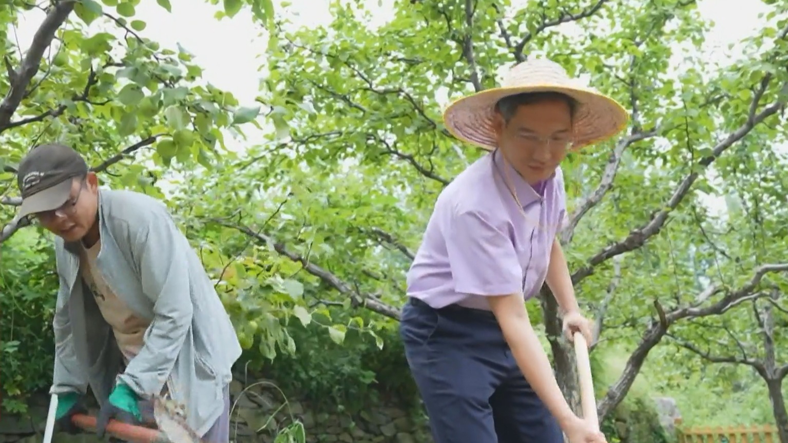 从“各守一村”到“并肩作战” 456名驻村第一书记组团赋能乡村振兴 从“各守一村”到“并肩作战” 456名驻村第一书记组团赋能乡村振兴