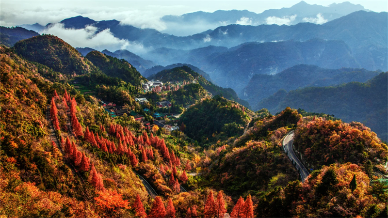 武当山最新发布！门票、车票、索道票免费领！