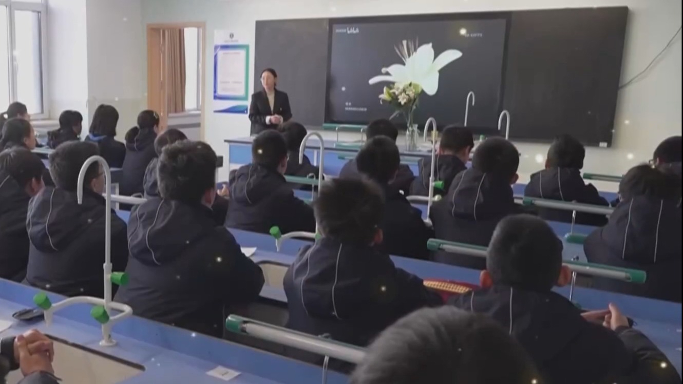 新起点跑出加速度 京津冀协同正当时丨京津冀共绘教育“同心圆” 新起点跑出加速度 京津冀协同正当时丨京津冀共绘教育“同心圆”