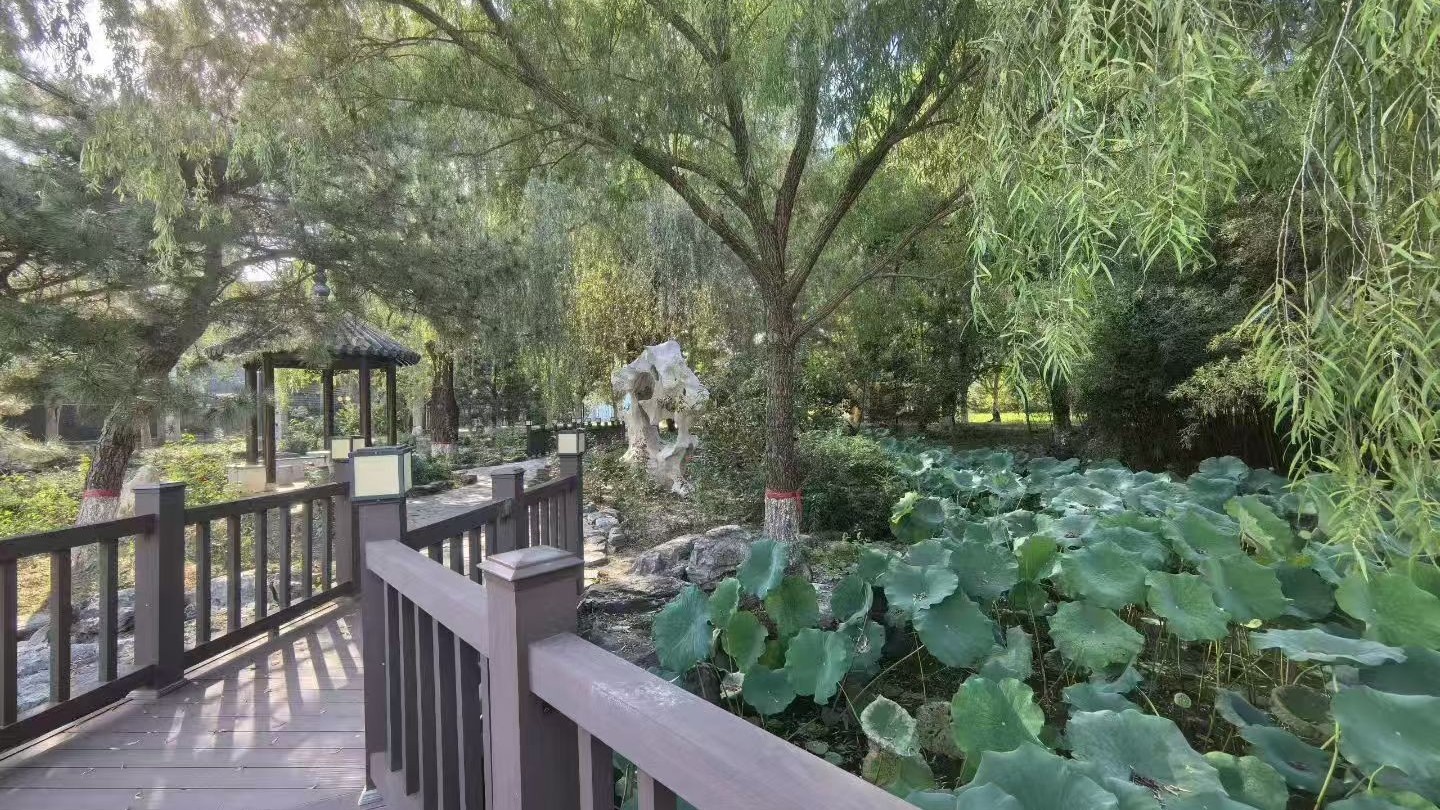 最高气温26℃ 大风蓝色预警中 谨防高空坠物