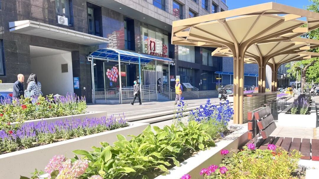 当医院围墙变身“百草园”:朝外这样打造“中医药三成健康街道” 当医院围墙变身“百草园”:朝外这样打造“中医药三成健康街道”