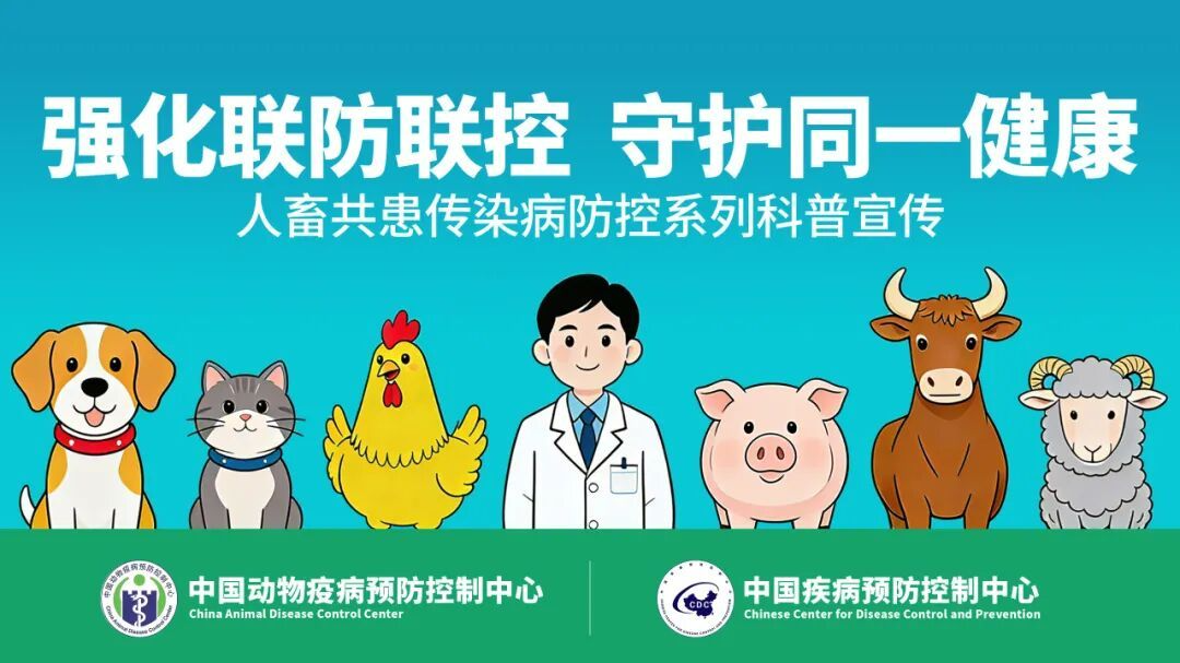 布鲁氏菌病防控微电影《不戴口罩手套惹的祸》 布鲁氏菌病防控微电影《不戴口罩手套惹的祸》