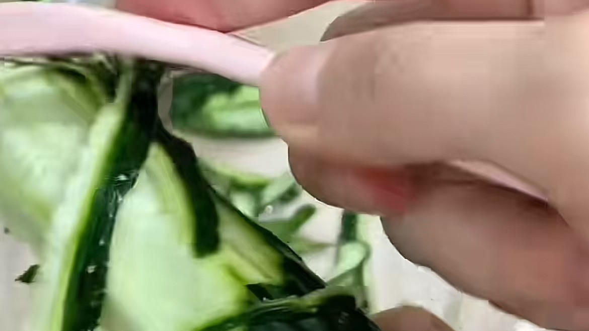 削皮刀还能不会用？原来削皮刀我真不会用！