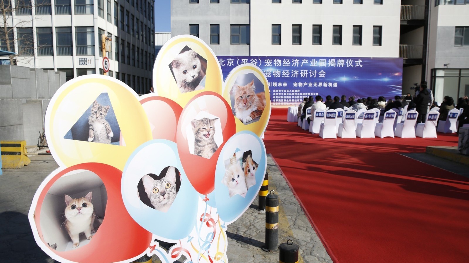 北京首家宠物经济产业园亮相平谷 北京首家宠物经济产业园亮相平谷