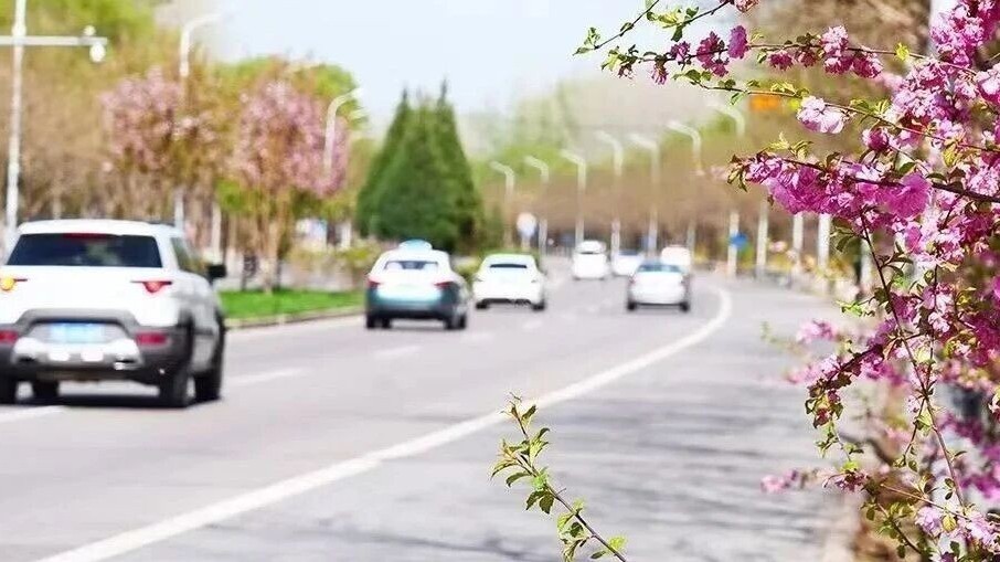 奖励升级！顺义“路面遗撒顺手报”邀您参与——