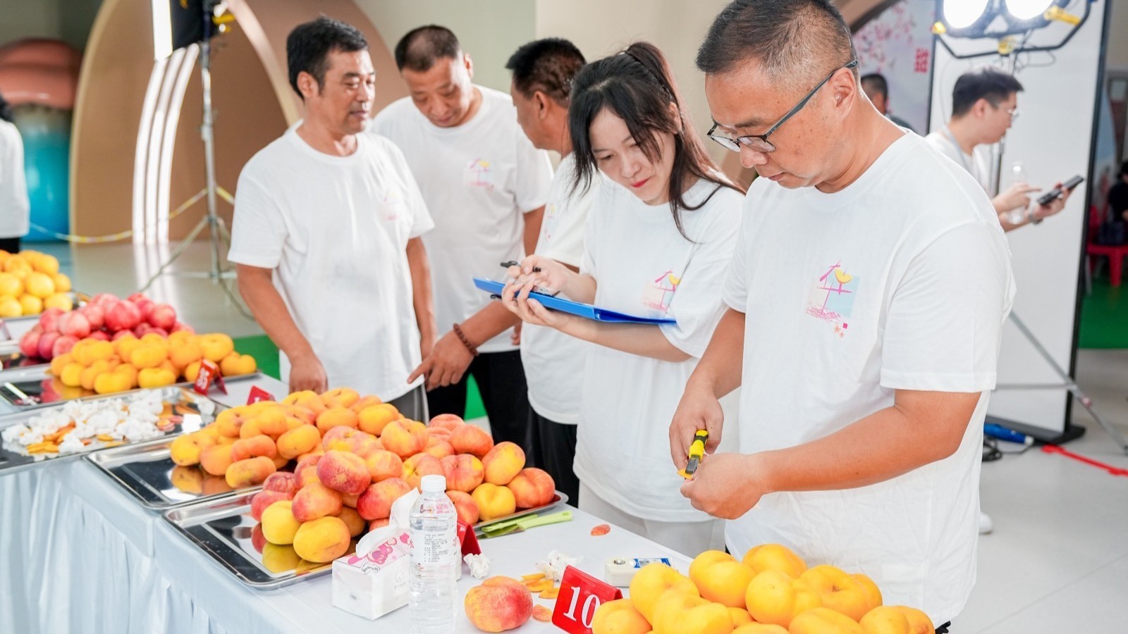 北京平谷:桃王争“霸”尽显丰收甜蜜 北京平谷:桃王争“霸”尽显丰收甜蜜