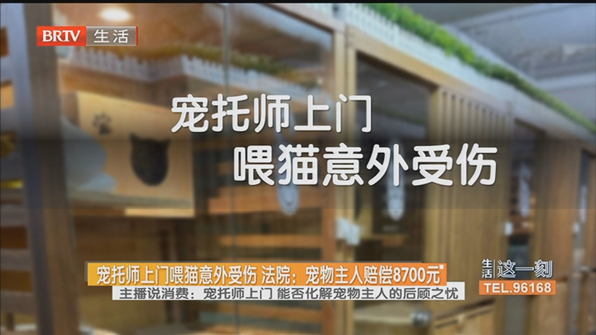 宠托师上门喂猫意外受伤 法院：宠物主人赔偿8700元 主播说消费：宠托师上门 能否化解宠物主人的后顾之忧