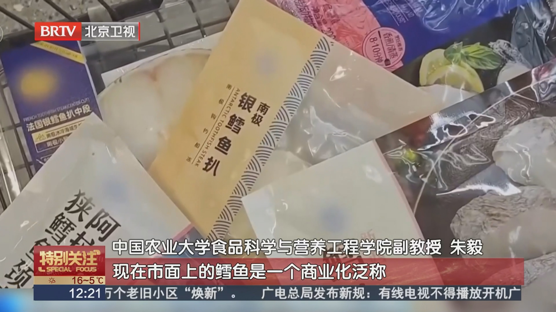 网传系误读 不同鳕鱼营养价值各有优势