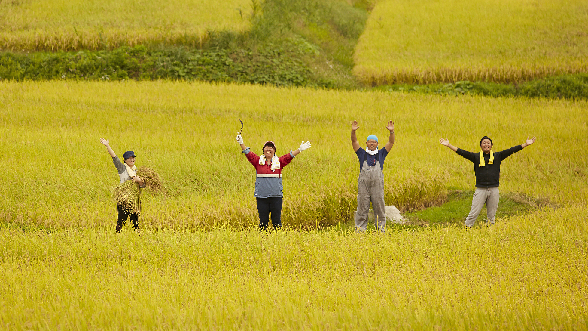 去年农民人均可支配收入达23119元 “三农”工作成绩单→