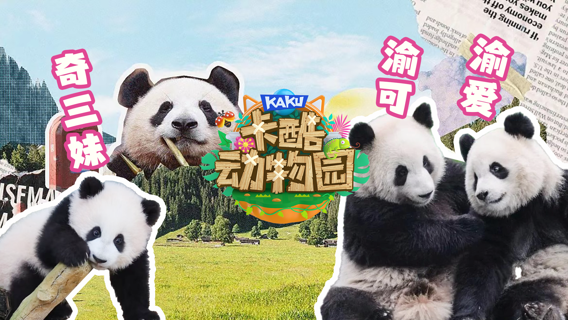少儿户外动物直播《卡酷动物园》萌萌的奇三妹、渝可、渝爱TA们来了！
