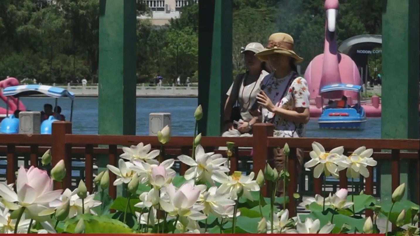 北京开启夏季游园模式 端午假期第二天公园迎客流高峰 北京开启夏季游园模式 端午假期第二天公园迎客流高峰