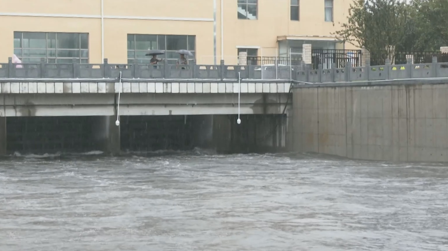 本轮降雨期间全市河道水势平稳 未出现超警情况