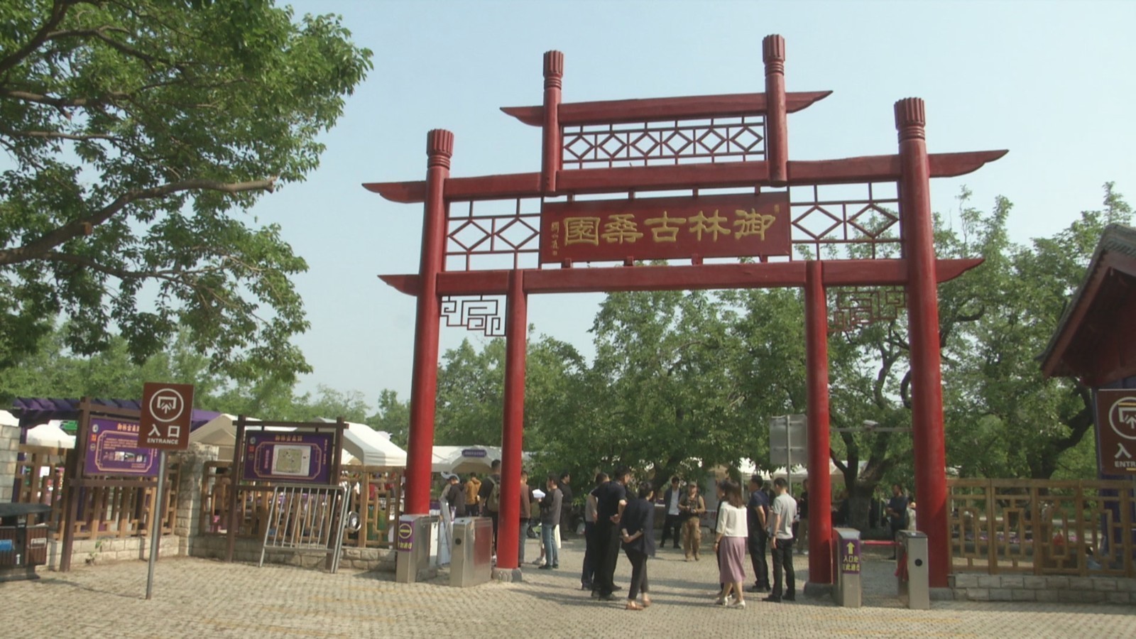 以古桑为媒 大兴区解锁乡村振兴“紫色密码”