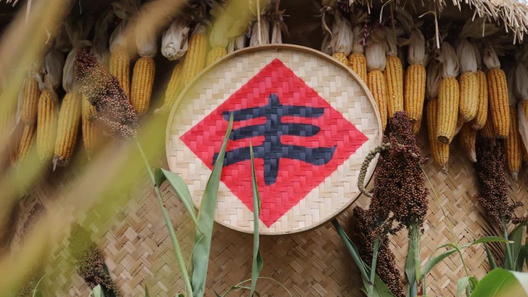 百余种美食畅快嗨吃、文艺演出免费观看！怀柔金秋嗨吃节这样精彩→