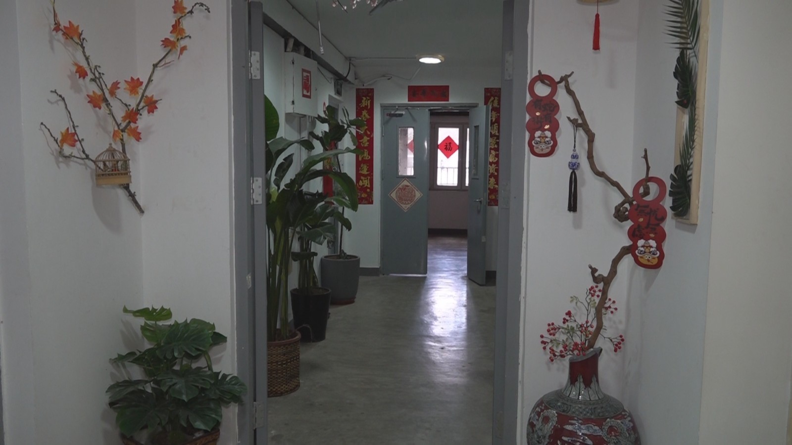 连续12次清理整治 楼道变身“睦邻文化角”