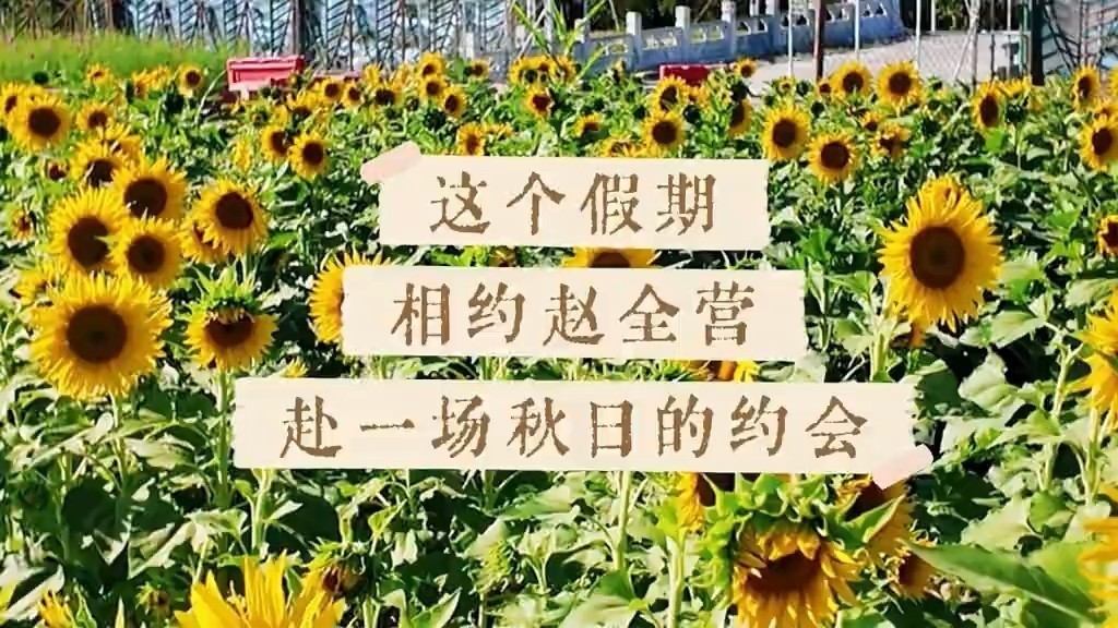 乐不可支游顺义 | 这个假期相约赵全营，赴一场秋日的约会。