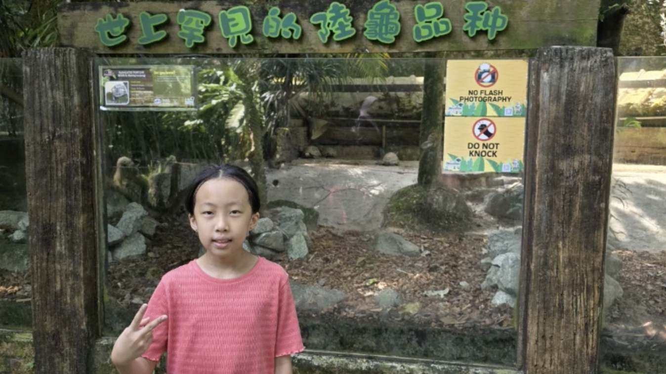 2024全球PK赛优秀奖：马来西亚华校教师会总会 杨荟洁